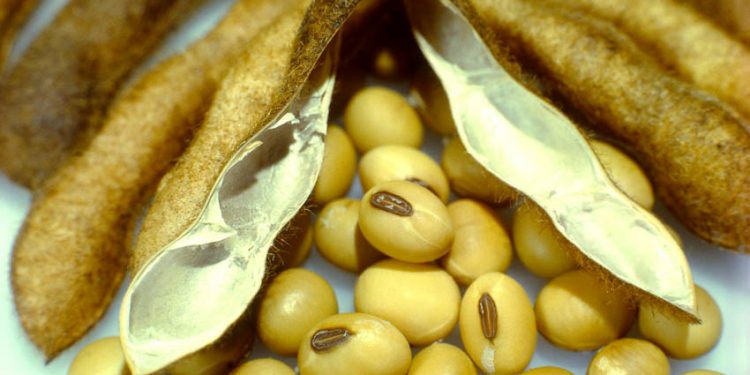 Lecithin: Properties, Benefits and its use in the Kitchen