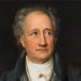 The kicks to the scientific knowledge of Goethe