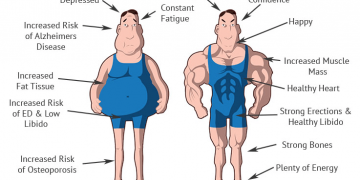 Testosterone and increased muscle mass: everything you need to know about it