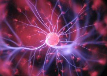 Edward O. Wilson says that humanities matter more than science