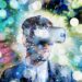 The Technology Of Virtual Reality In Gaming