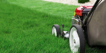 DIY guidelines for the best looking lawn