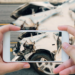 Things You Should Do After A Car Crash