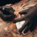 Surprising Life-Altering Benefits That Result From Daring to Get Inked