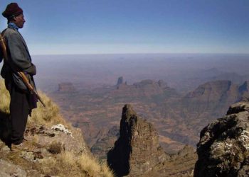 Information about Ras Dashen