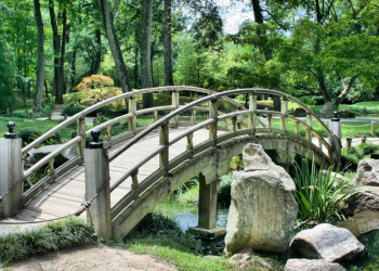 Captivating Nature Experiences at Singapore's Top Gardens and Parks