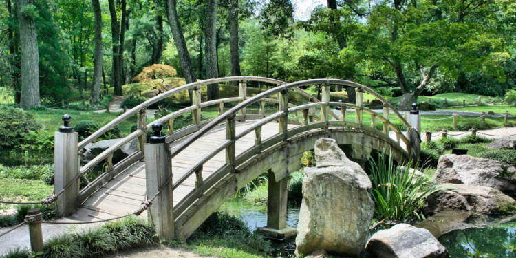 Captivating Nature Experiences at Singapore's Top Gardens and Parks