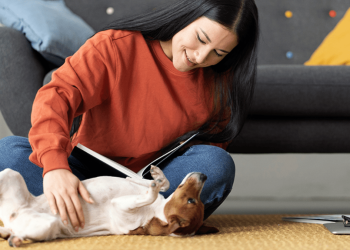 5 Tips for Happy Condo Co-Living with Your Furbabies