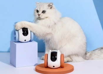 Pet-Friendly Gadgets For Tech-Savvy Fur Parents