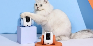 Pet-Friendly Gadgets For Tech-Savvy Fur Parents