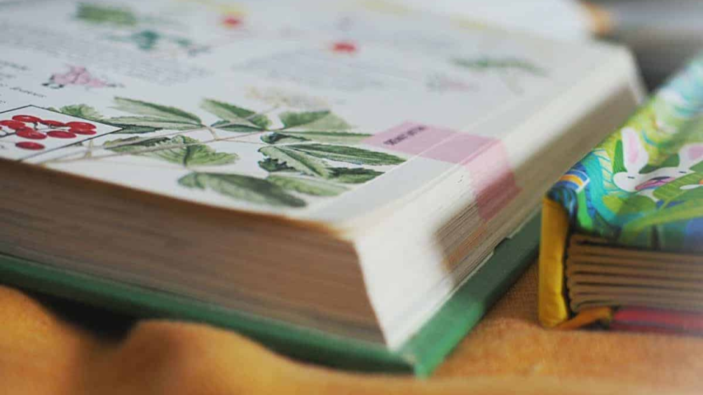 Ways to Bring Nature into Daily Life