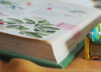 Ways to Bring Nature into Daily Life