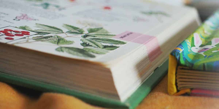 Ways to Bring Nature into Daily Life