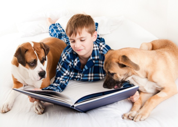 Kids, Dogs, and Books How Reading Aloud To Pets Sharpens Young Minds