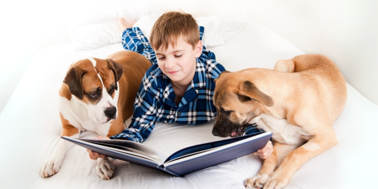 Kids, Dogs, and Books How Reading Aloud To Pets Sharpens Young Minds