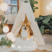 Tips for Crafting a Happy & Healthy Pet Space
